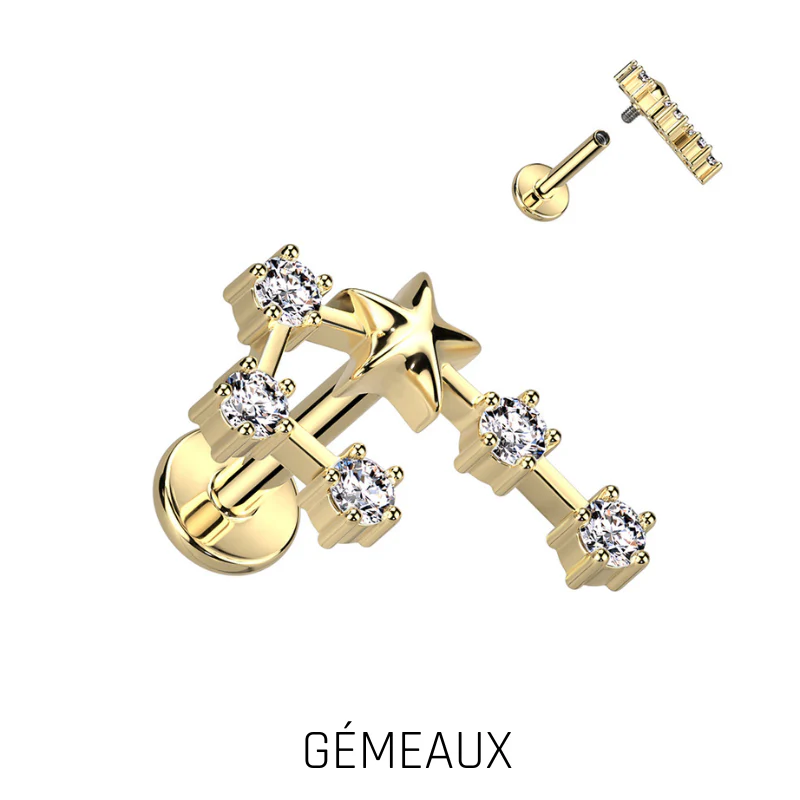 Piercing Zodiaque en Acier Chirurgical Doré – Signe Astrologique - Image 6