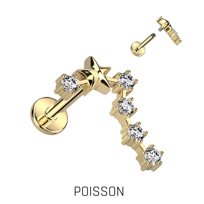 Piercing Zodiaque en Acier Chirurgical Doré – Signe Astrologique - Image 8